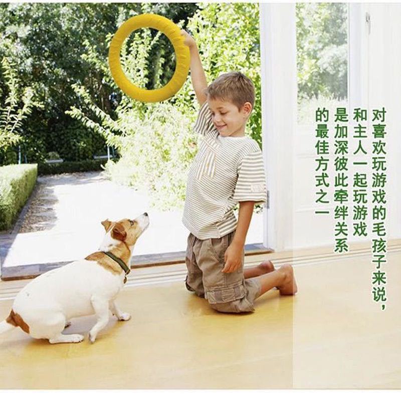 小拉环一个（建议5斤以下小狗使用） 训犬拉环狗狗耐咬啃咬咬环宠物玩具边牧泰迪金毛训练拽环训狗用品