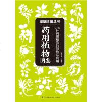 药用植物图鉴 285种药用植物的特征与使用 药用植物相关知识 图鉴百科读物 自然科普爱好者的专业工具书 药用植物辨别