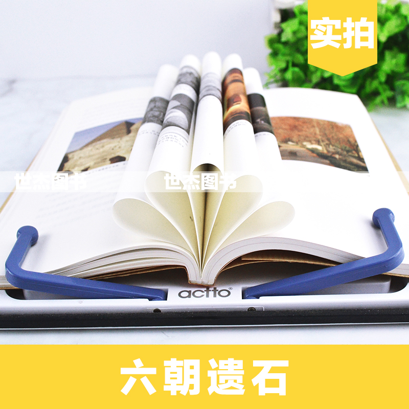 [正版]读库 六朝遗石 王南建筑史诗系列 六朝陵墓建筑与石雕遗存 南朝陵墓中国古代建筑历史考古文物资料图解营造天书高清大图