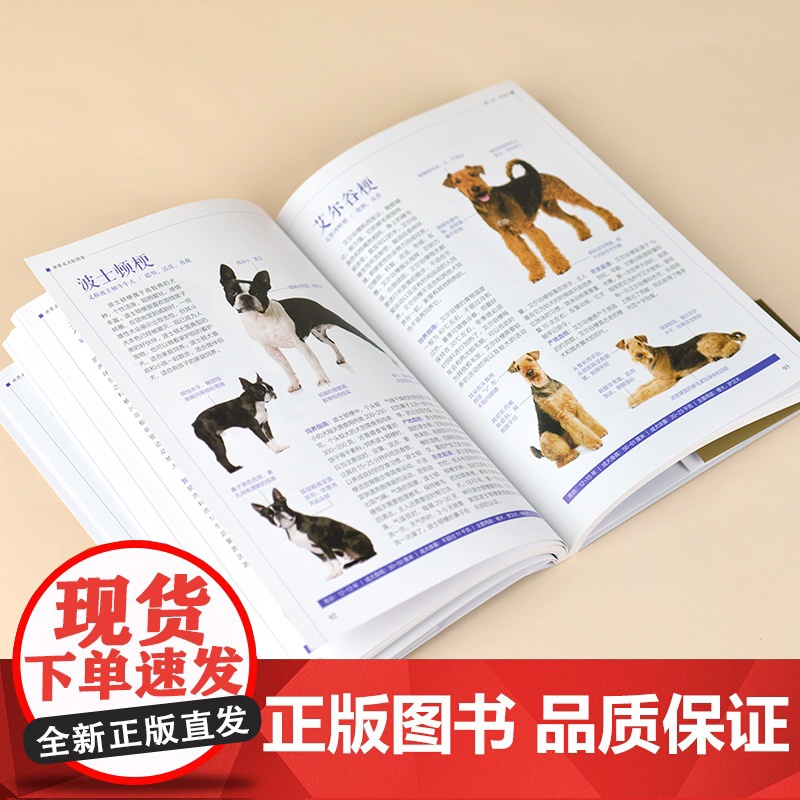世界名犬轻图鉴 特征描述,血统介绍,饲养指南护理一本通!高清大图