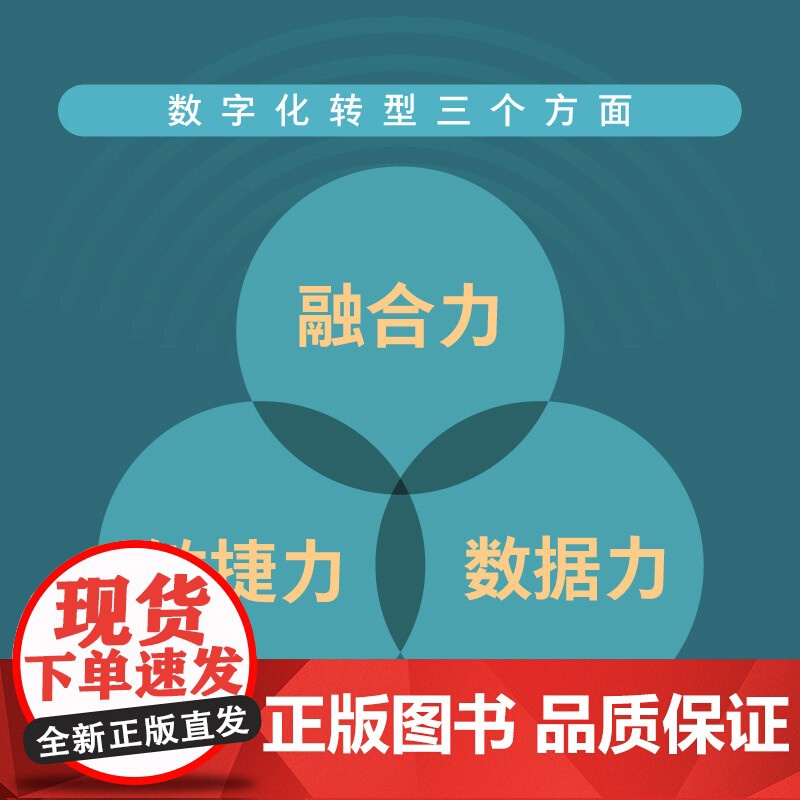 数字化路径 从蓝图到实施图 谢仁杰等 著 数字化 数字化转型 企业定位 组织结构 经营管理模式 管理高清大图