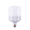 格瑞达 LED灯泡 GS-LDP-24W 个