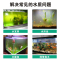 鱼缸水族箱活性炭过滤材料除腥臭味除水黄水质净化鱼池净水椰壳炭
