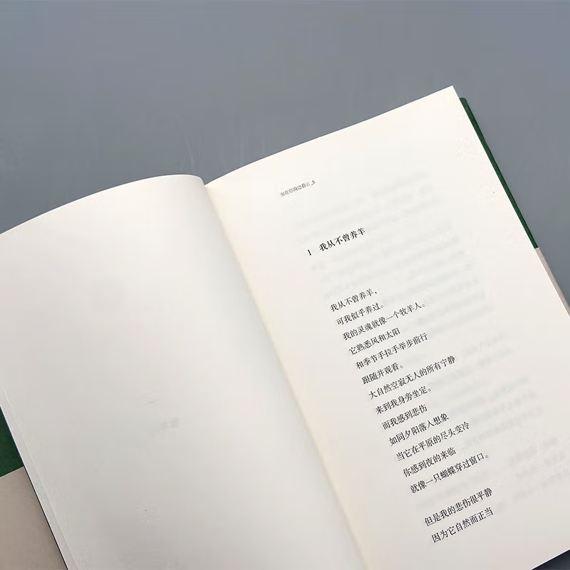 [正版]坐在你身边看云 精装本 费尔南多佩索阿 巴别塔诗典系列文学诗歌诗选词曲 外国诗歌集 外国文学文艺 想象一朵未来的高清大图