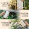浇水壶家用养花浇花喷壶园艺洒水壶长嘴淋花水壶浇花神器大容量 象牙白 雅典洒水壶(原创设计专利)