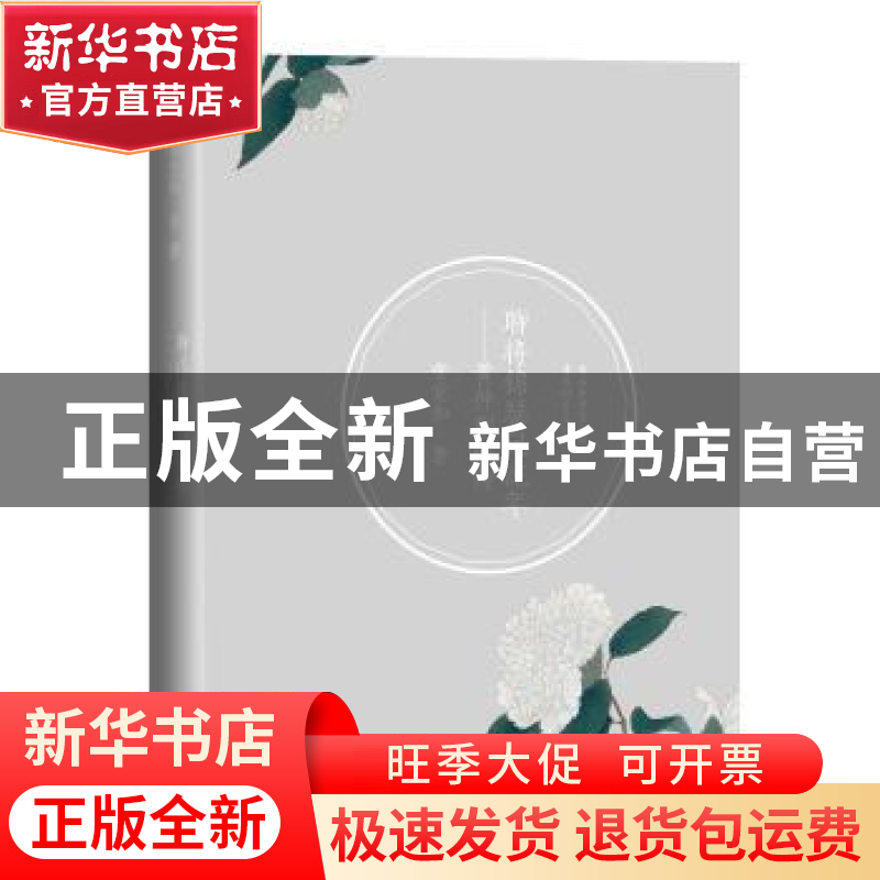 正版 聊将锦瑟记流年:黄仲则诗传 安意如著 人民文学出版社 97870高清大图