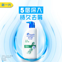 海飞丝(Head & Shoulders)去屑洗发露止痒呵护型洗发水750ml 宝洁出品