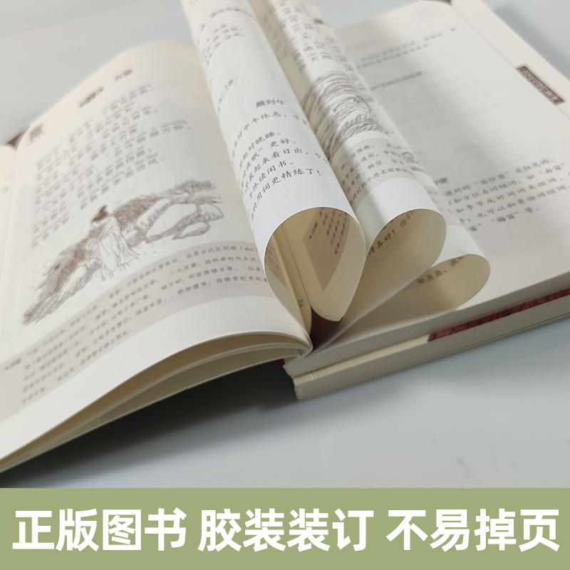 [2册装]小学生小古文101课 [正版]朱文君小学生小对韵100课上下2册小古文100课姐妹篇非小巴掌散文一百课篇散文读