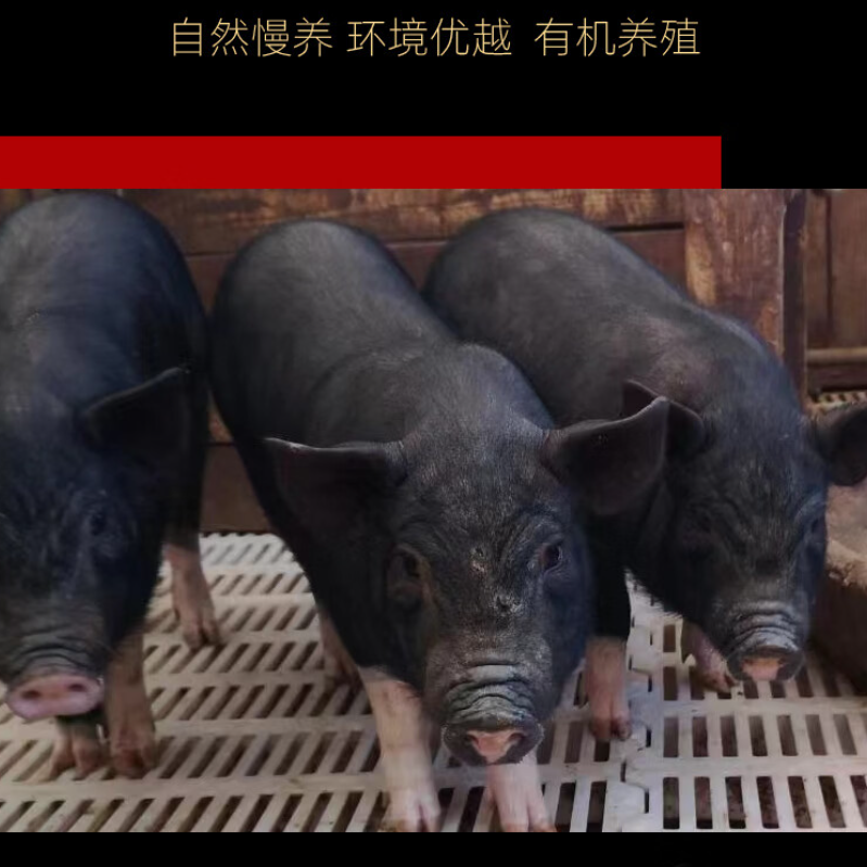 牧千味(冷冻)牧千味有机黑猪肉原生328型1600g高清大图