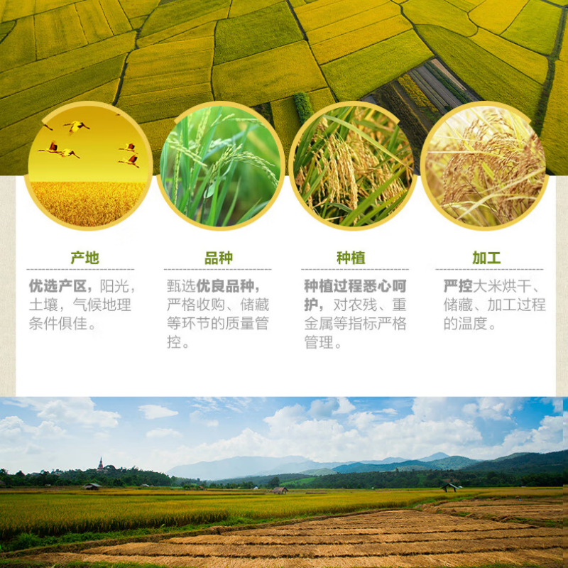 金龙鱼 长粒香大米2.5kg 新老包装随机发 米质细腻 香软弹滑 颗粒饱满 洁白晶莹 回香味长 入口顺滑高清大图