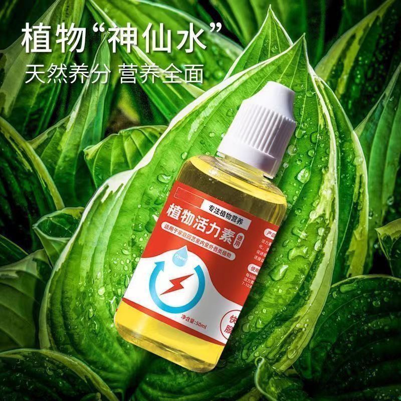植物活力素浓缩营养液促生长发财树蝴蝶兰花卉水培绿植养花通用型-活力素;植物活力素-1瓶装高清大图