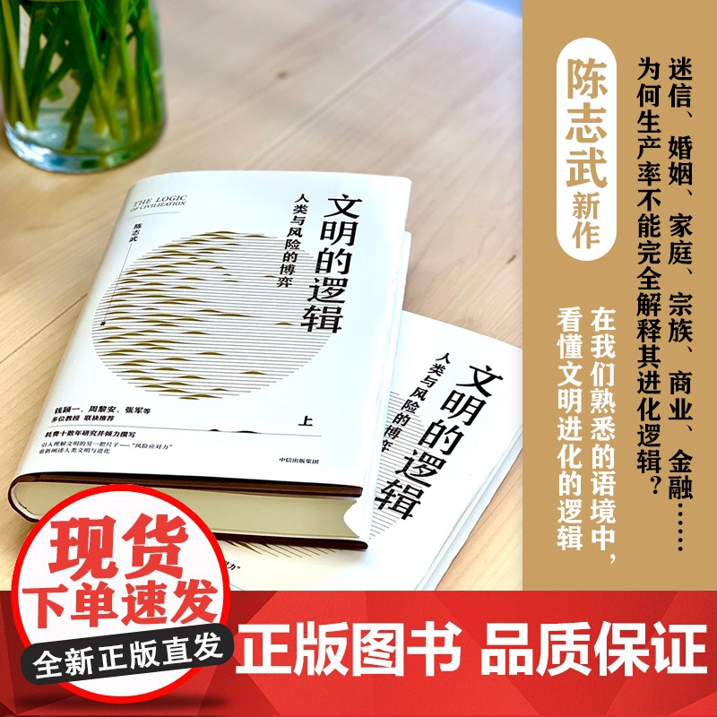 文明的逻辑 人类与风险的博弈 陈志武著 钱颖一 周黎安 张军 联袂 经济 历史发展 风险博弈高清大图