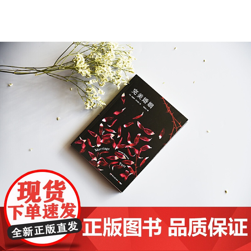 [央视网]完美婚姻 美 米歇尔 里奇曼Michelle Richmond著 一部笔尖透着寒气的心理悬疑小说 湖南文艺出版高清大图