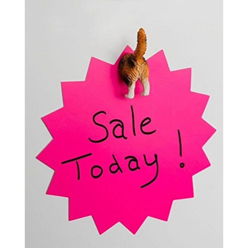 美国kikkerland猫屁屁冰箱贴六件套catbuttmagnets创意冰箱贴