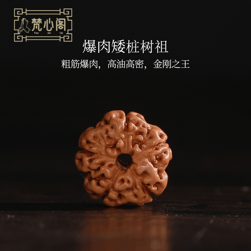 [梵心阁]男士佛珠手链印尼树祖小金刚菩提子原籽双龙纹单圈手串