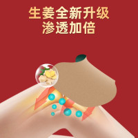 正虎堂艾草生姜膝盖贴16贴/盒艾草颈椎贴关节热敷温灸护膝盖疼痛帖