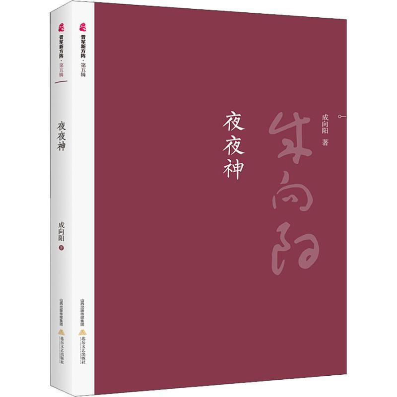 夜夜神 成向阳 著 文学 文轩网