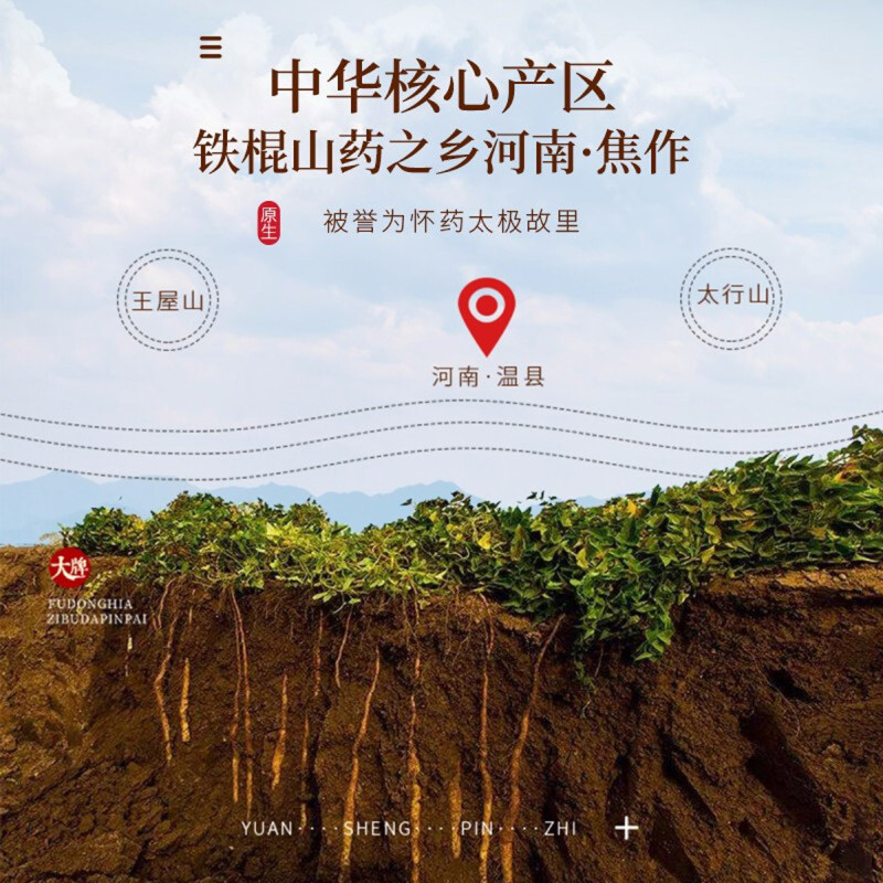 福东海 铁棍山药粉500克[纯怀山药]焦作淮山药即冲山药干即饮可搭养胃食品粥代餐粉熟粉营养早餐粉养生滋补