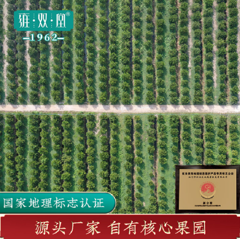 雍双堂 正宗干仓新会陈皮3年国潮玻璃罐广东特产商务礼150g CPR-8001.高清大图