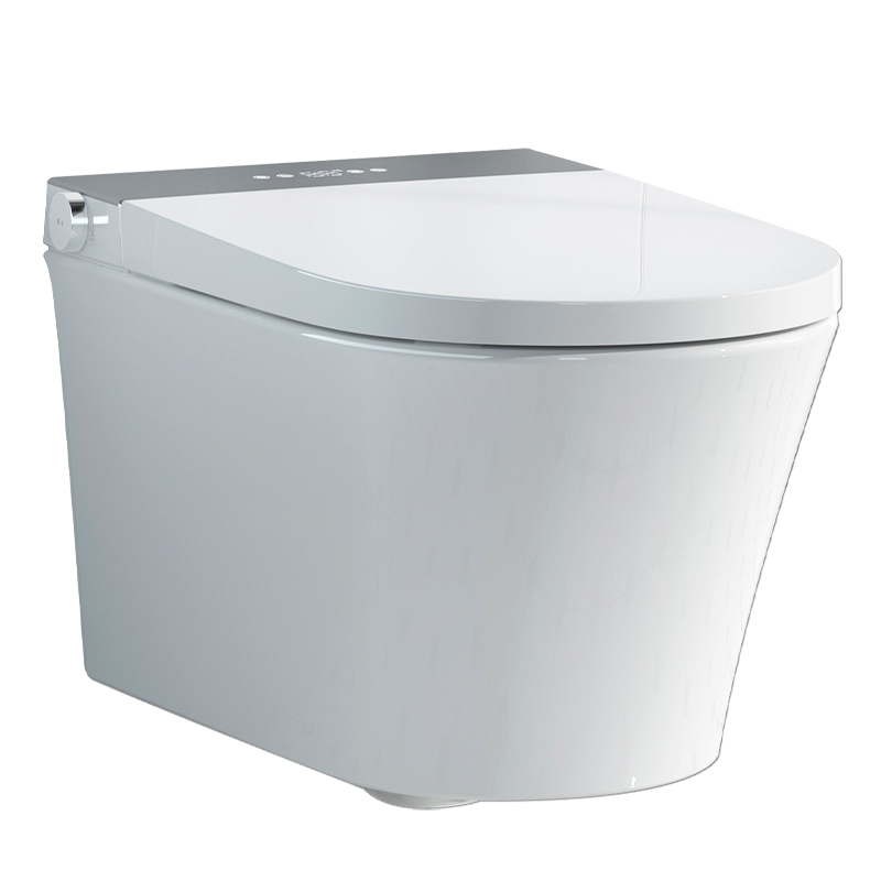 瑞尔特R&T智能马桶壁挂式HX3等离子杀菌自动翻圈离座脚感冲水 白色 无坑距限制