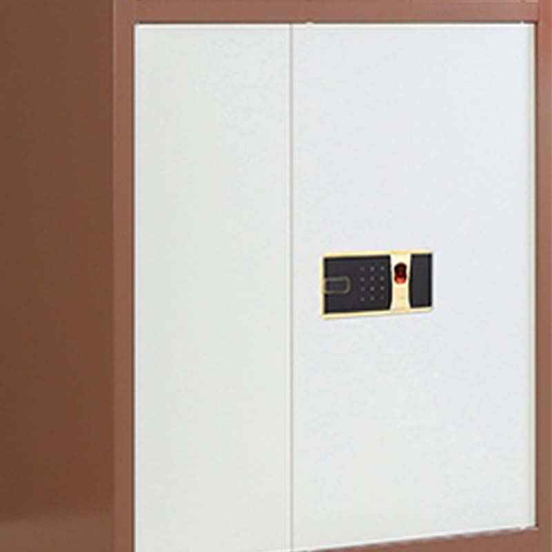 湘渭保密柜财务档案柜文件柜办公室资料储物柜保险柜通双节咖框白门-指纹密码锁高清大图