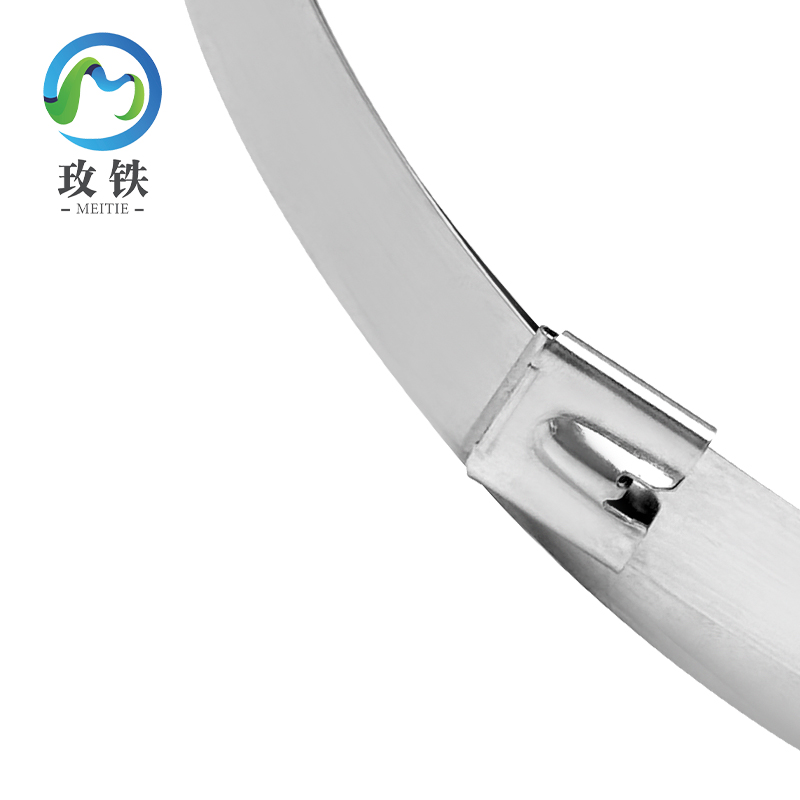 玫铁 自锁式不锈钢扎带 19*1600mm 条高清大图