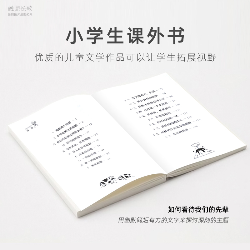 童眸 [正版]我家没有英雄 四年级 约·维特克著 祖庆说百班千人暑假读物 我家没有英雄书 小学生课外书阅读书籍 晨光出版