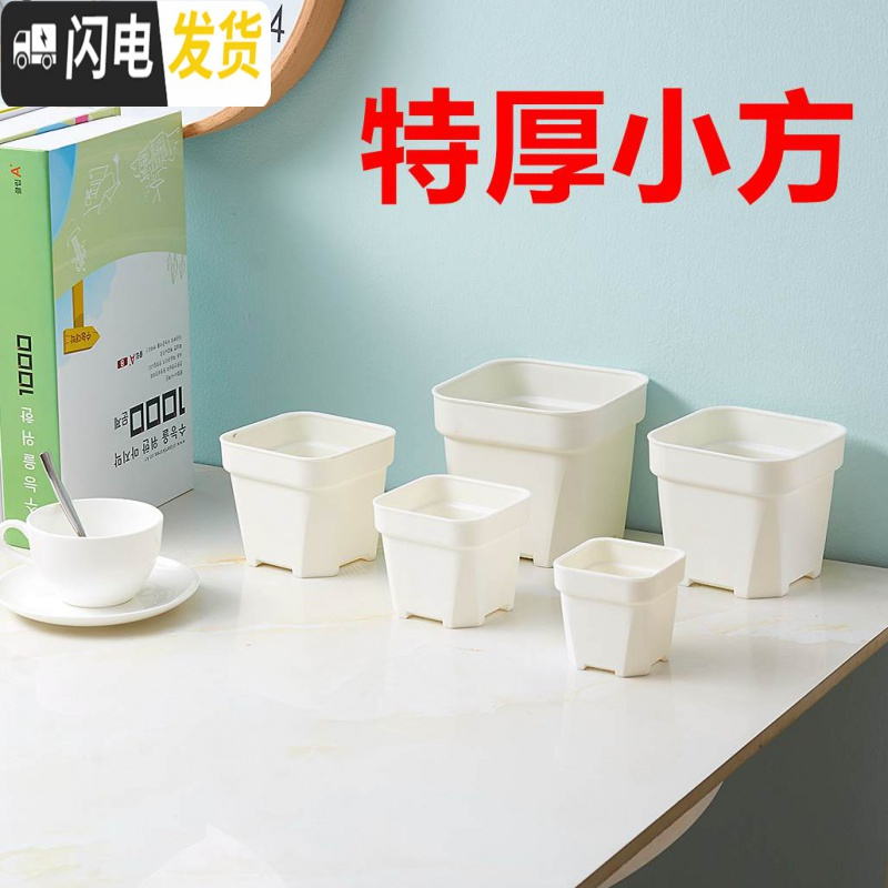 三维工匠经典加强特厚黑白小方大方多肉家庭园艺植物塑料磨砂浅方花盆 白色浅方20个 8cm口径花盆容器