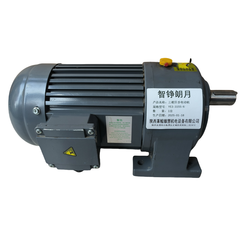 智铮朗月 三相异步电动机 YE3-315S-6 台高清大图