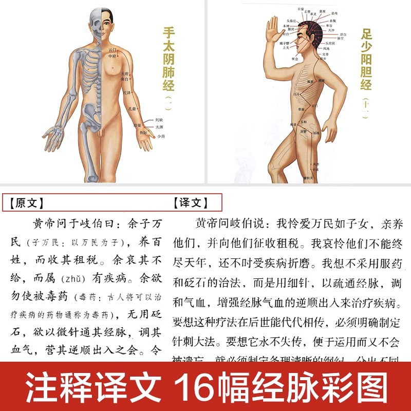 [正版]完整无删减全2册黄帝内经全集原文注释原著白话版经络穴位图解中医基础理论大全养生书籍灵枢素问校释皇帝内经中医