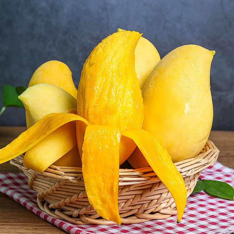 [西沛生鲜]云南鹰嘴芒 芒果3斤装 大果 单果400g以上 热带水果 新鲜