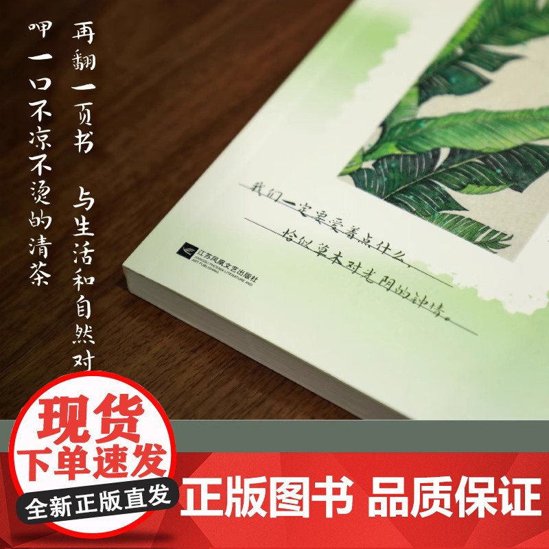 2025百班千人阅读 6六年级小学生课外书 人间草木 9-12岁青少年儿童文学成长图书课外阅读书籍课外阅读必读正版书籍高清大图