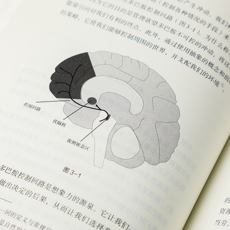 [正版]樊登 贪婪的多巴胺 丹尼尔利伯曼著 脑科学家大卫伊格曼新世代独立图书奖讲述多巴胺如何影响人的情绪行为高清大图