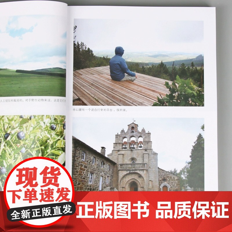 儿童健康讲记 一个中医眼中的儿童健康 心理与教育 孙俪 李辛关于儿童身心健康专题讲 正版书籍高清大图