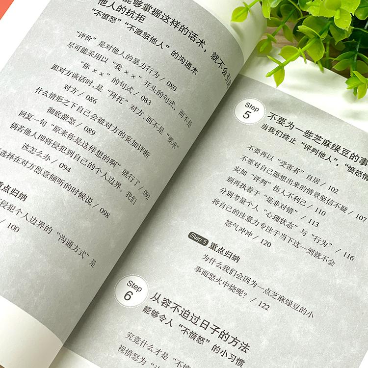 [正版]你为什么忍不住发火 人际关系疗法心理状态疗愈摆脱情绪困扰 助你表达愤怒 而不是愤怒表达做自己的心理医生 静心放下高清大图