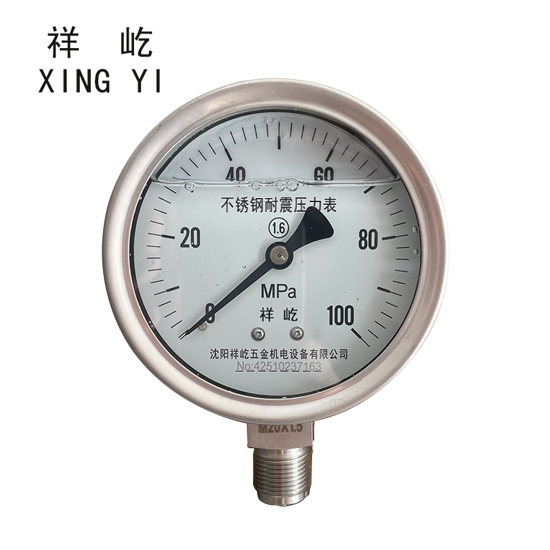 祥屹 不锈钢耐震压力表 YN100BF 块高清大图