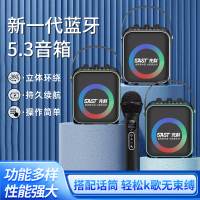 先科(SAST)户外手提音响T93 灰色 无话筒 广场舞音响手提便携式无线蓝牙音箱大音量户外骑行K歌
