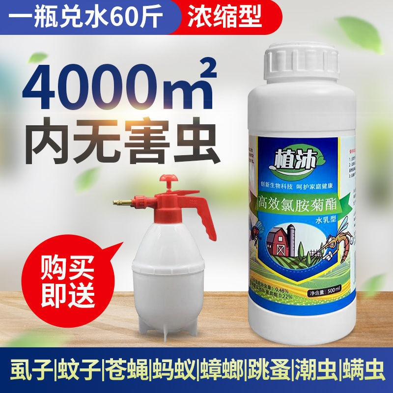 1瓶装(兑水60斤)不送喷壶 杀虫剂喷雾家用灭蟑螂蚊子苍蝇蚂蚁跳蚤虱子养殖场猪场高效氯菊酯