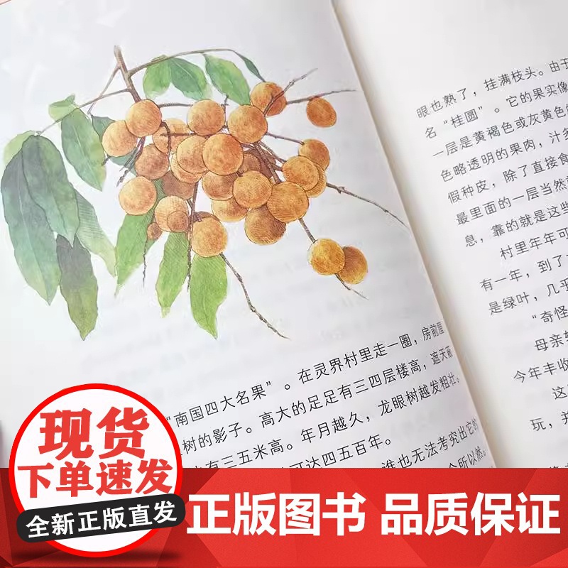 自然里的文学课全3册 何腾江著 自然观察笔记日记趣味百科蒲公英说走就走不怕脑震荡的啄木鸟谁都不敢和螳螂打架花鸟植物百科正高清大图