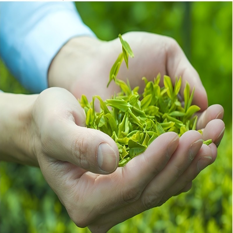 飞宏野屯红茶250克/罐高清大图