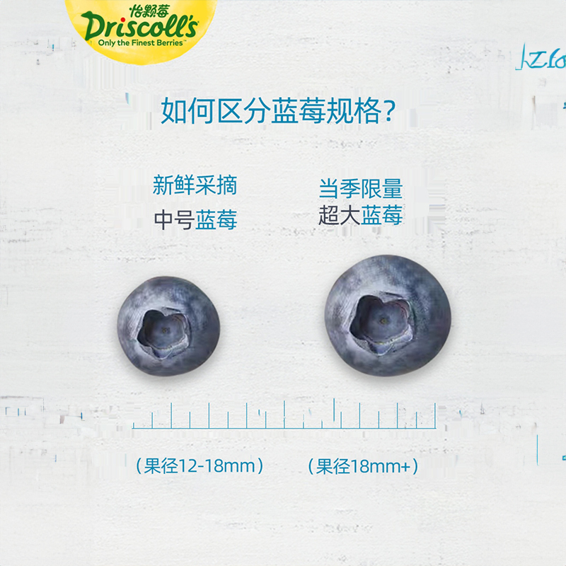 [冠町甄选] 秘鲁进口怡颗莓12盒大果限量版 18-20mm 新鲜酸甜可口蓝莓水果