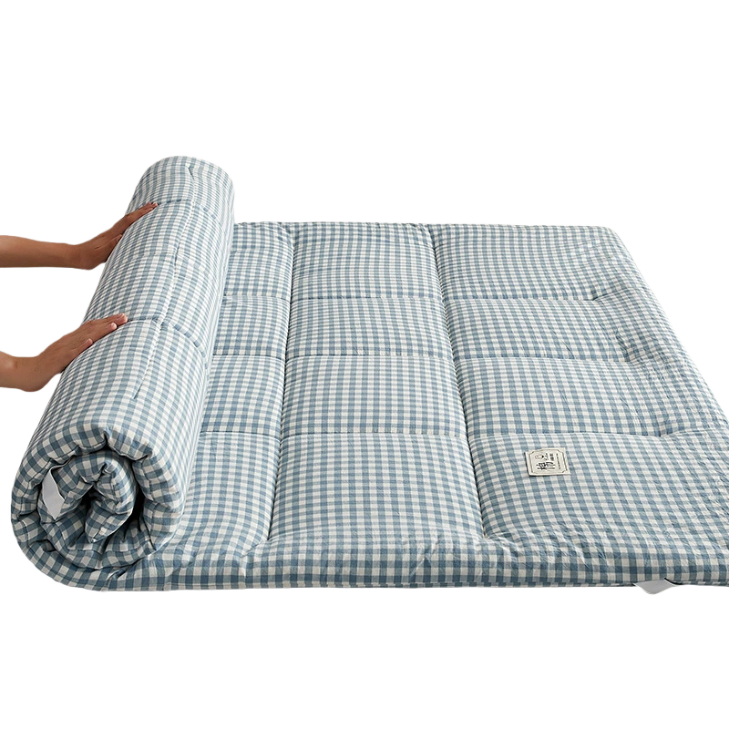 蕃蒂褥子3斤张高清大图