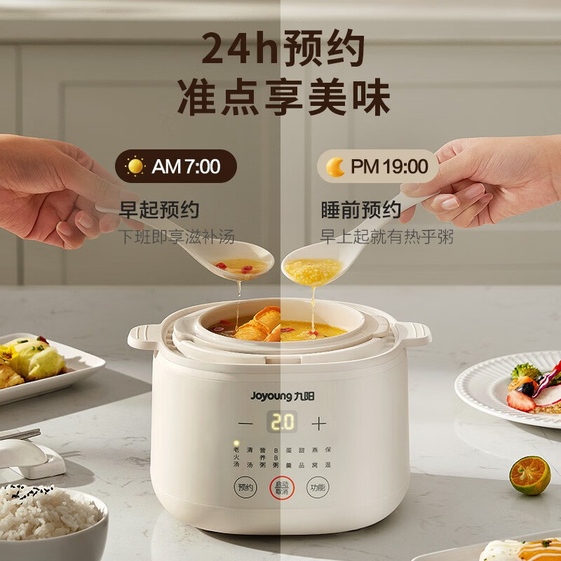 九阳(Joyoung)电炖锅宝宝煮粥锅婴儿辅食锅bb煲汤燕窝电炖盅隔水炖家用陶瓷DG10G-GD102