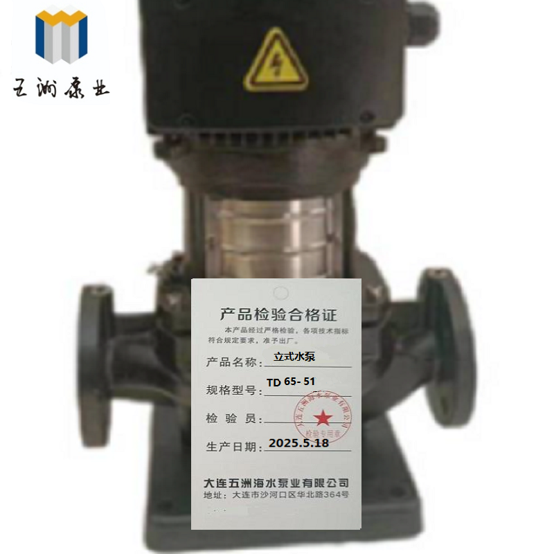 五洲泵业立式水泵TD65-51台高清大图
