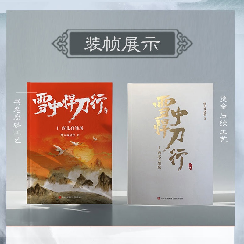 雪中悍刀行 全套20册 [正版]赠拼图+书签+明信片+海报+长海报+地图雪中悍刀行1-20册 修订版全套20册 烽火高清大图