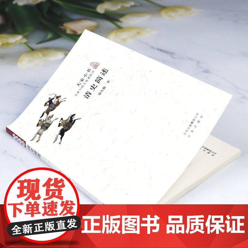 大家小书:清史简述 郑天挺著清史稿讲义述闻清史通鉴书籍高清大图