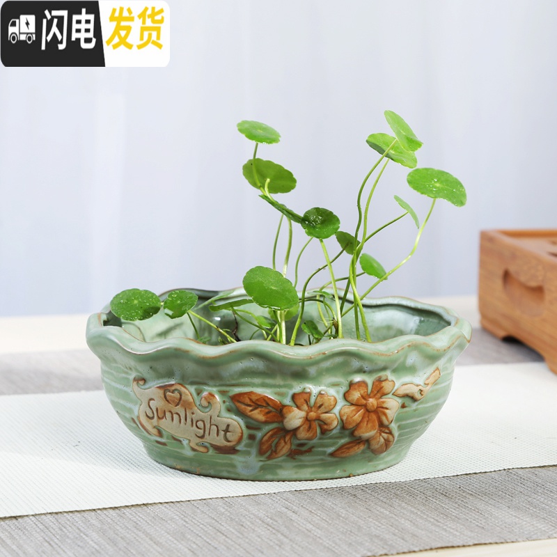 三维工匠多肉大口径花盆大水培碗莲铜钱睡莲盆水仙水培植物水养睡莲荷花 SY-417 无孔水培花盆容器高清大图