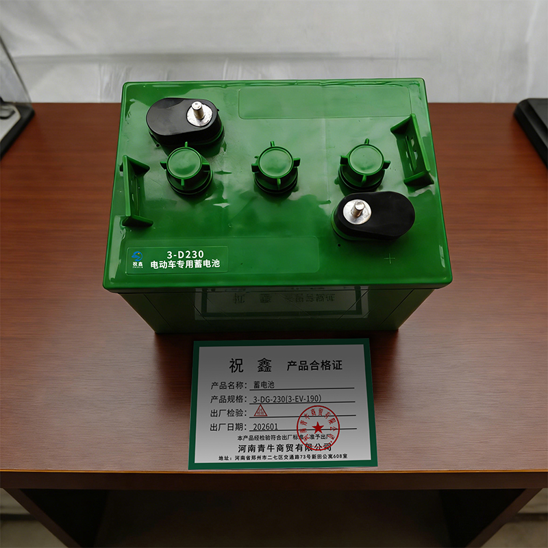 祝鑫 蓄电池 3-DG-230(3-EV-190) 只高清大图