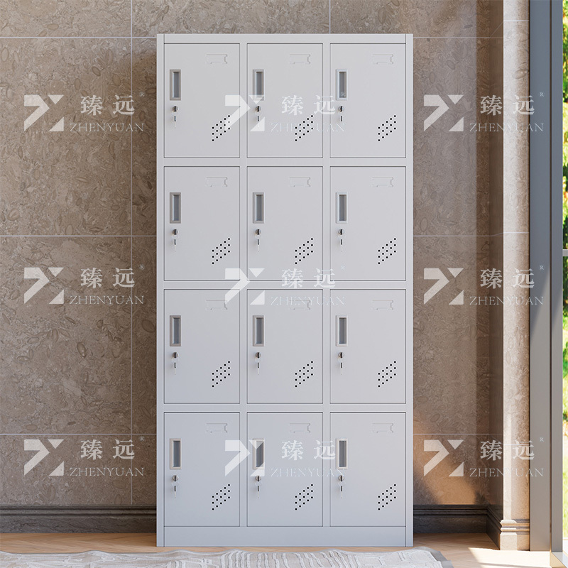 臻远 ZY-GYGC-72 员工更衣柜存包柜浴室换衣柜健身房多门储物柜 12门纯白