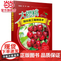 大樱桃简化省工栽培技术 甜樱桃高效栽培书籍 车厘子樱桃树种植技术大全 土肥水管理技术整形修剪技术病虫害综合防治技术应用书